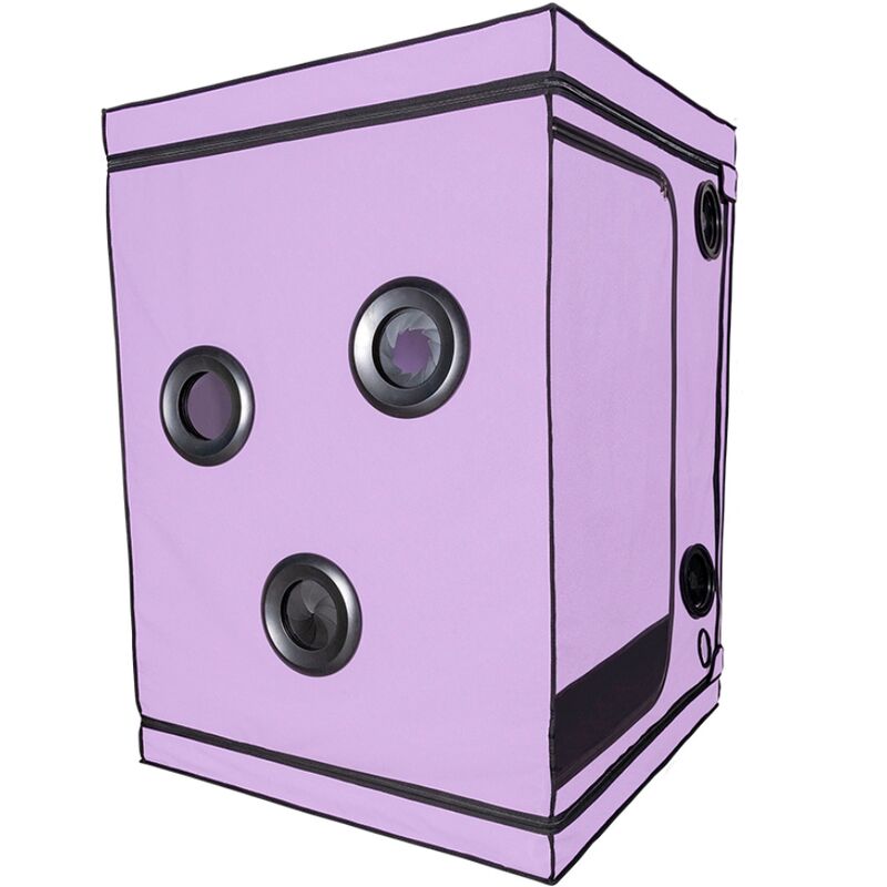 Secret Dome - Kink Club Cabina Scandale Morado