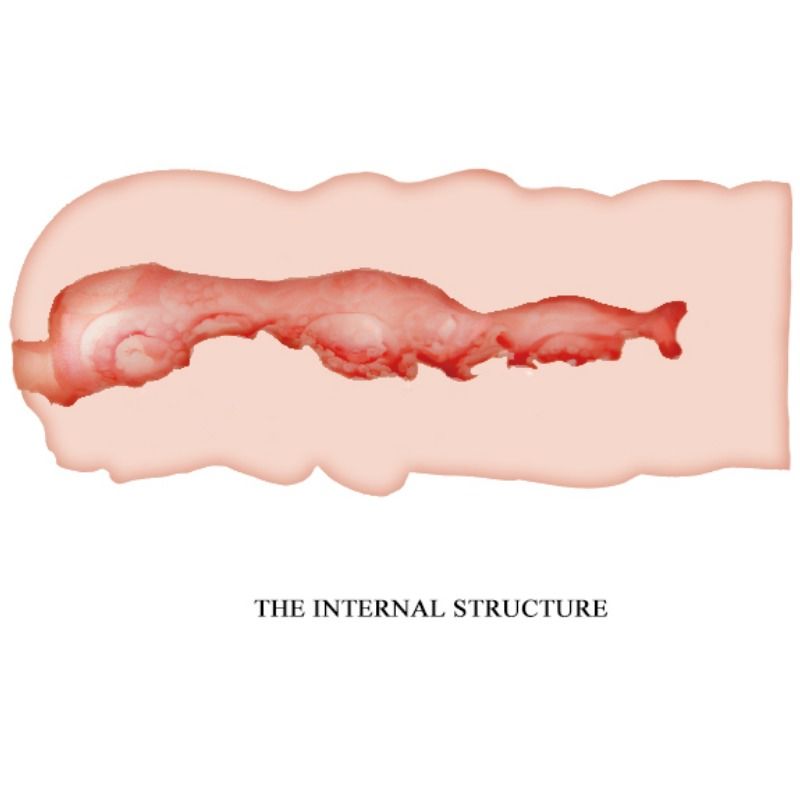 Crazy Bull - Isabel Masturbador Vagina 13.5 Cm