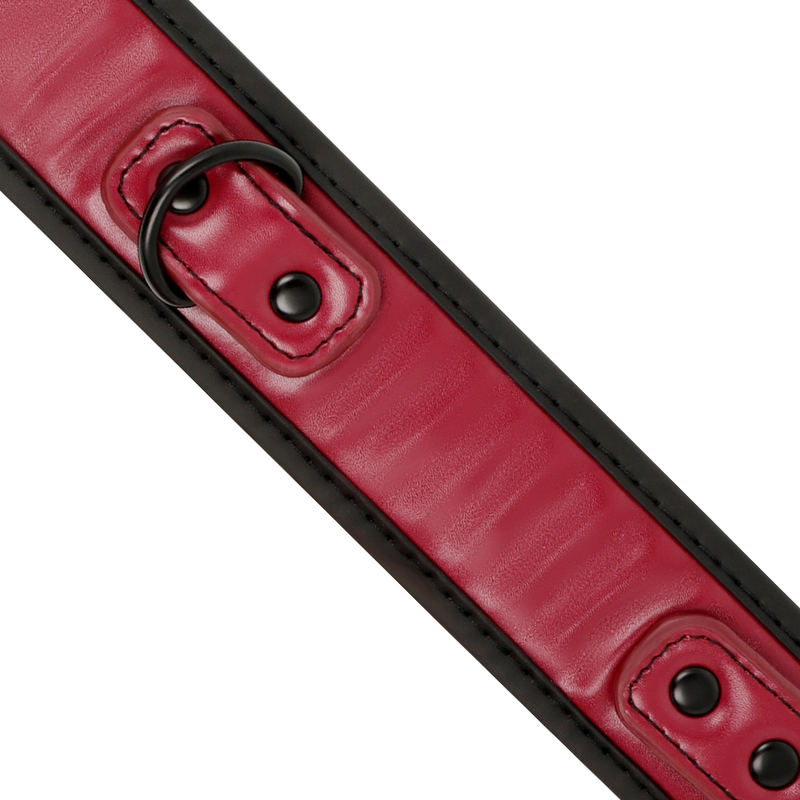 Fetish Submissive Dark Room - Collar Con Cadena Con Forro De Neopreno