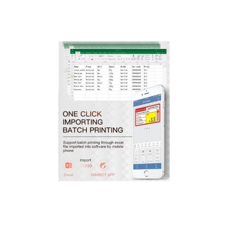 Impresora Etykiet Niimbot B21 S Bialy