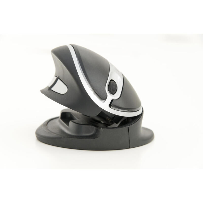 Kenson Oystermouse Wireless Ratón Rf Inalámbrico 1000 Dpi Ambidextro