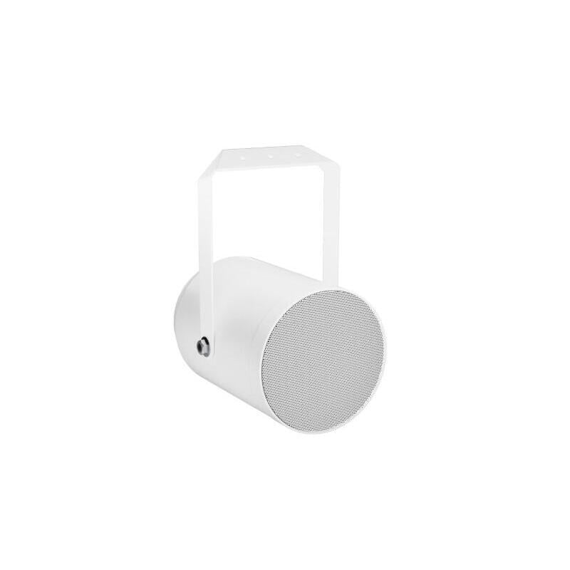 Ld Systems Integration Serie Contractor (Ldcep10) 10 W Projector Loudspeaker Warranty 5 Years (Pu8)
