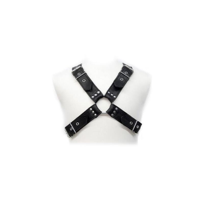 Leather Body - Buckles Harness