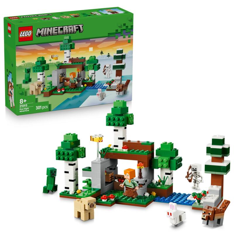 Lego 21593 Minecraft Erstes Abenteuer In Der Nacht 21593