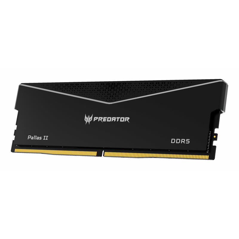 Memoria Predator Pallasii Ddr5 Heatsink 6000mhz 32gb (16gb*2) Cl 32 Negra