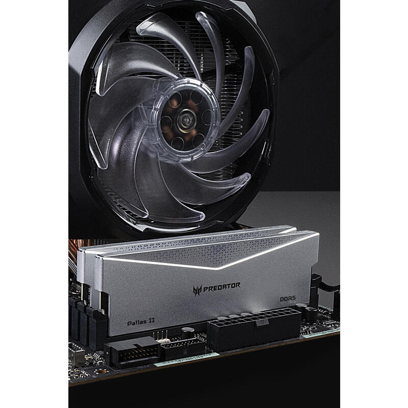 Memoria Predator Pallasii Ddr5 Heatsink 6000mhz 32gb (16gb*2) Cl 32 Negra