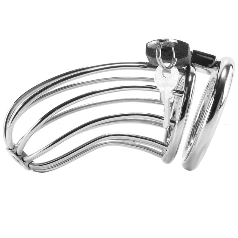 Metal Hard - Jaula Anillo Castidad Bird