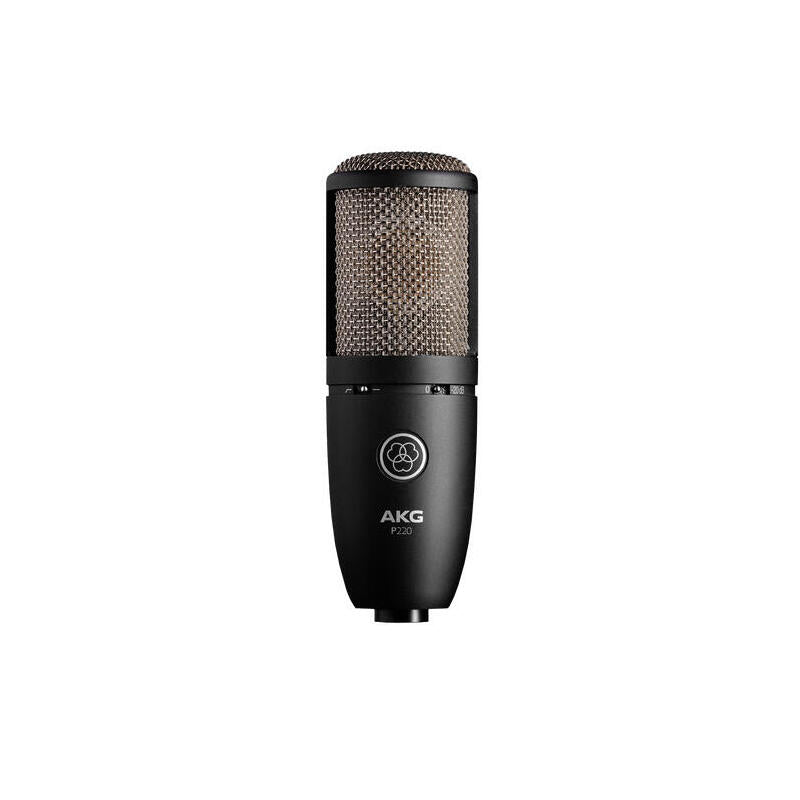 Micrófono Akg P220 De Condensador De Diafragma Grande