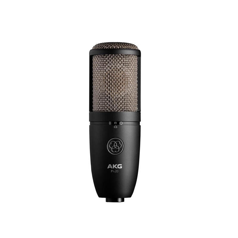 Micrófono Akg P420 Negro Micrófono De Estudio