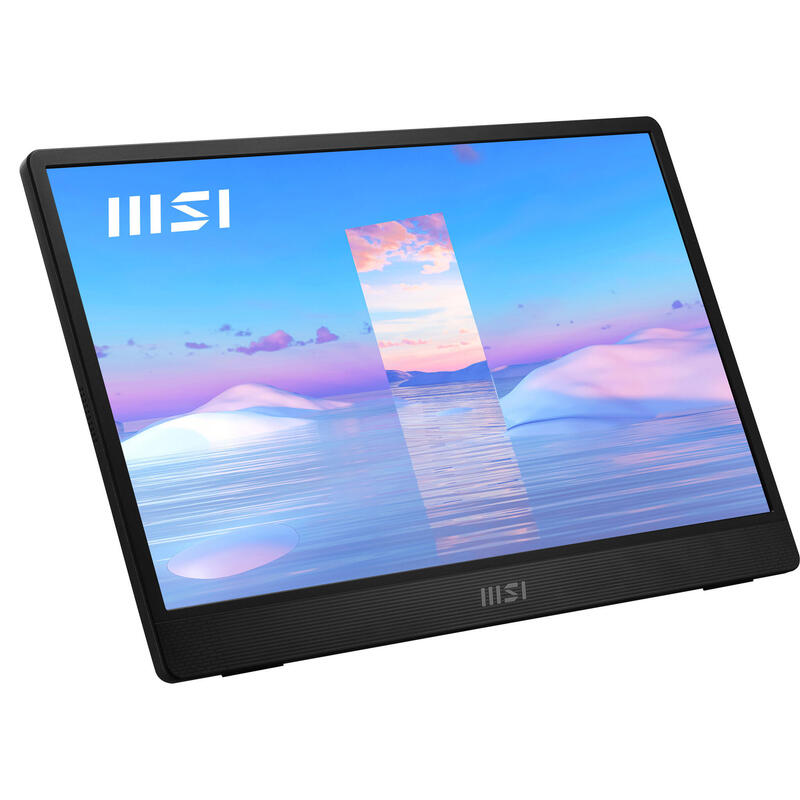 Monitor 15.6 Msi Pro Mp161 Iron Gray 4ms 60hz Fhd Ips Dp 2xusb Hdmi Vesa