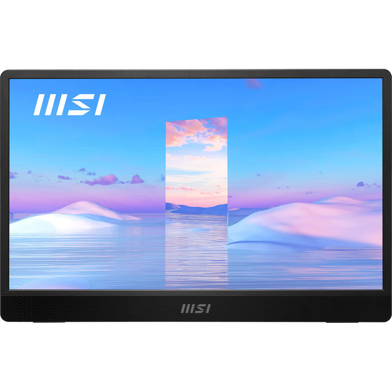 Monitor 15.6 Msi Pro Mp161 Iron Gray 4ms 60hz Fhd Ips Dp 2xusb Hdmi Vesa