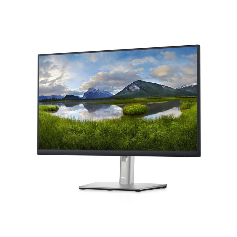 Monitor Dell 24 P2422he 1920x1080 Ips 16:9,Hdmi,Dp,Usb-C,5ms,Hö,Piv,Rj45