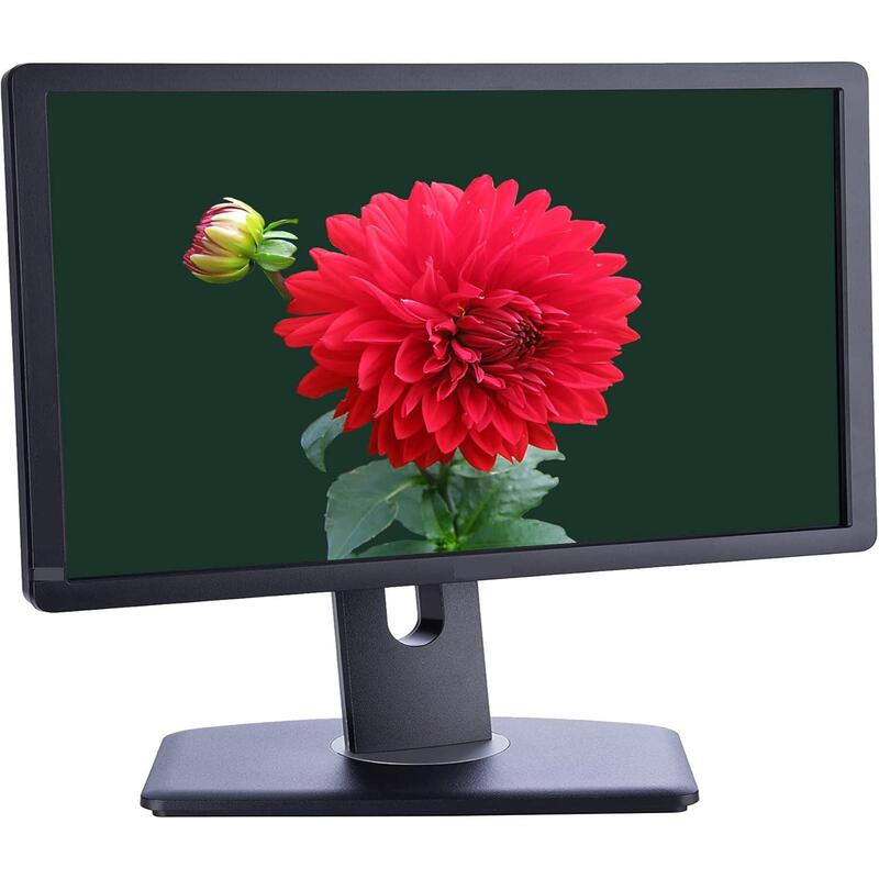 Monitor Reacondicionado Dell P1913t 19" Vga Dp Dvi Usb Negro 1 Año De Garantia