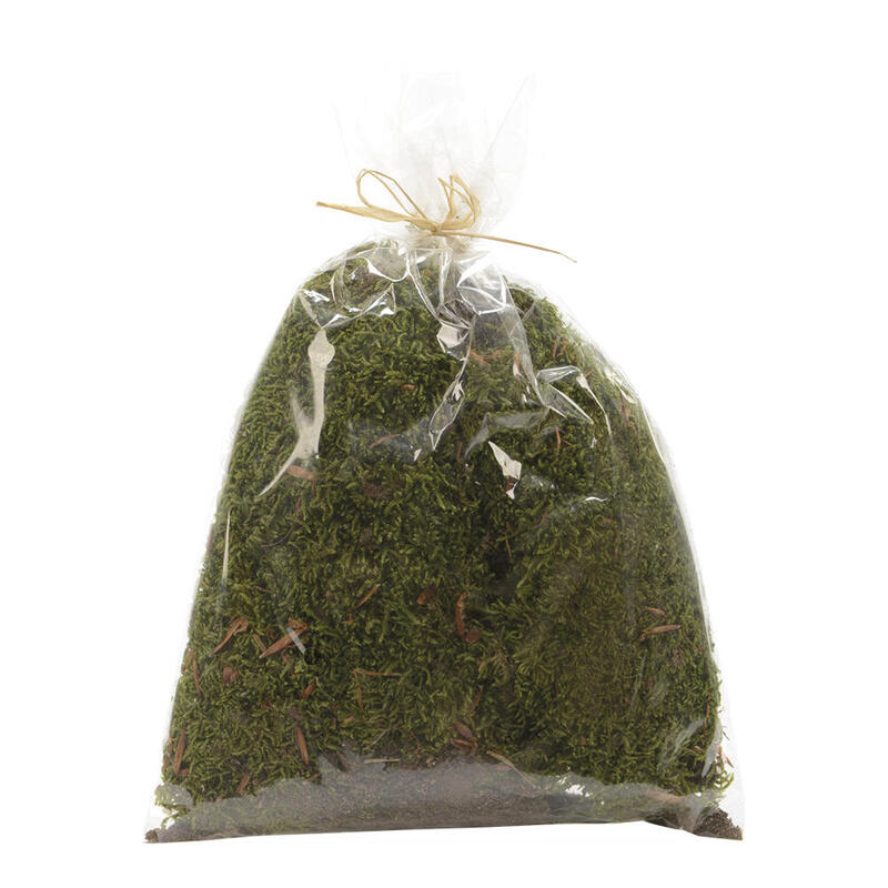 Musgo En Bolsa 80g 15x20cm