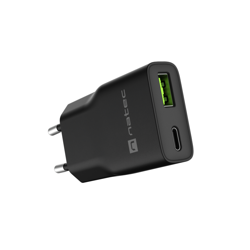 Natec Usb Charger Ribera Gan Slim Usb-A+Usb-C 20w Black