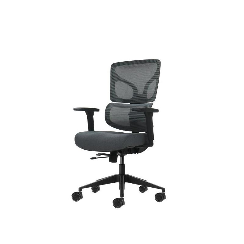 Oqonos Cherg 013 Silla De Oficina Ergonomica Con Respaldo Y Asiento De Malla Elastica, Reposabrazos 4d, Asiento