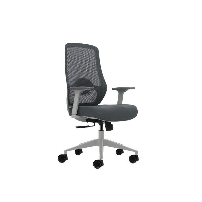 Oqonos Cherg 026 Silla De Oficina Ergonomica Con Soporte Lumbar Ajustable En Altura Y Profundidad, Reposabrazos 4d,