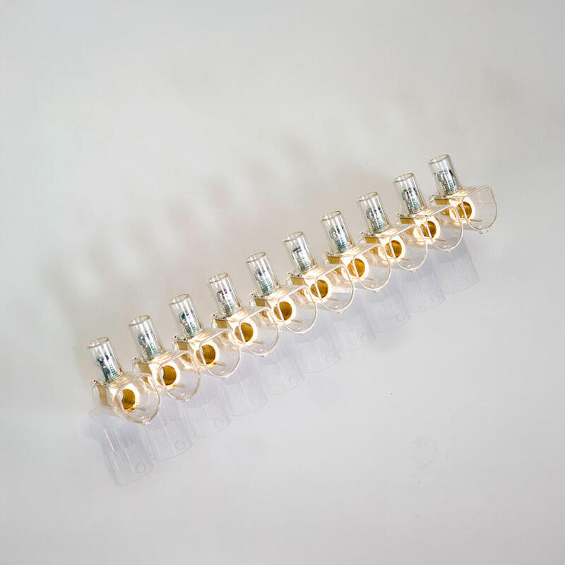 Pack De 10 Unidades - Regleta Ciega Transparente 10 Polos 6 Mm²
