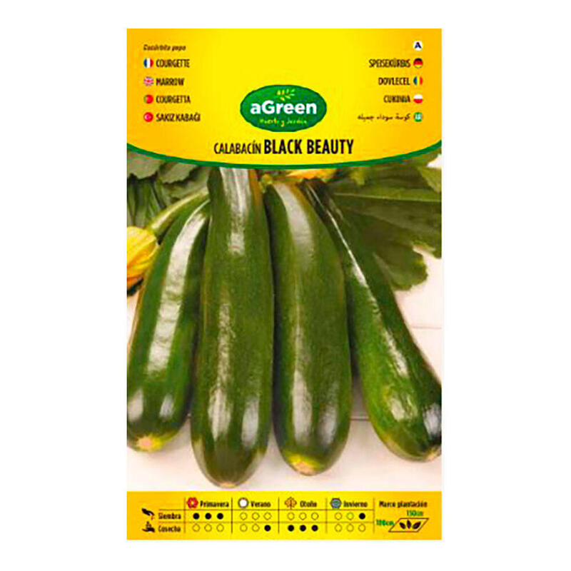 Pack De 10 Unidades - Sobre Con Semillas De Calabacin Black Beauty Agreen