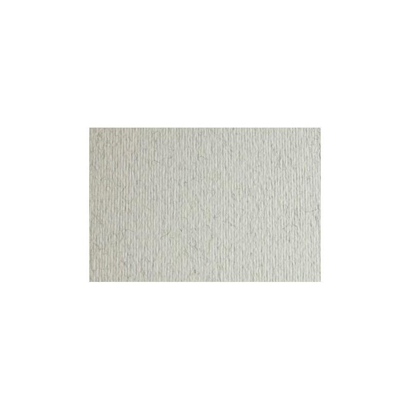 Pack De 20 Unidades Sadipal Cartulina Lr 220 Texturizada 50x70cm Brina Escarcha