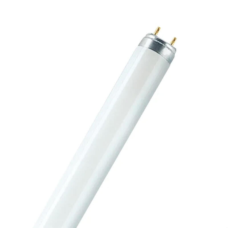 Pack De 25 Unidades - Tubo Fluorescente 58 W 6500 K 4900 Lm, Luz Fria Ø2.5 Cm X 151 Cm