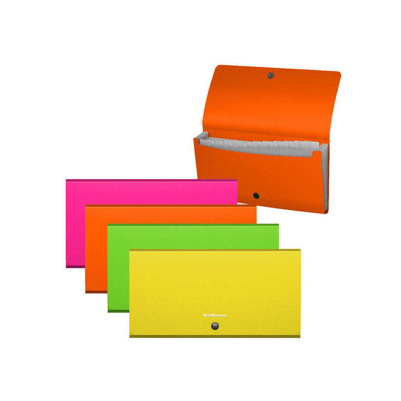 Pack De 4 Unidades Erichkrause Clasificadores Matt Neon - 12 Fundas - Tamaã±O Cheque - Colores Surtidos