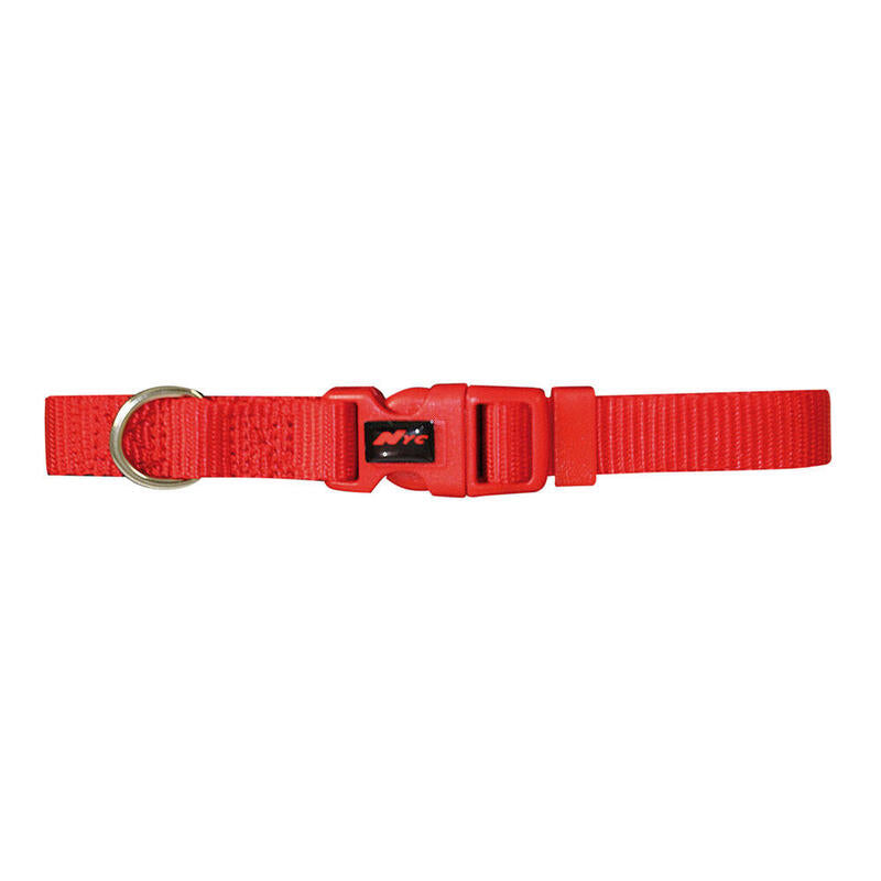 Pack De 5 Unidades - Collar Basic Rojo 25 Mm X 48-70 Cm