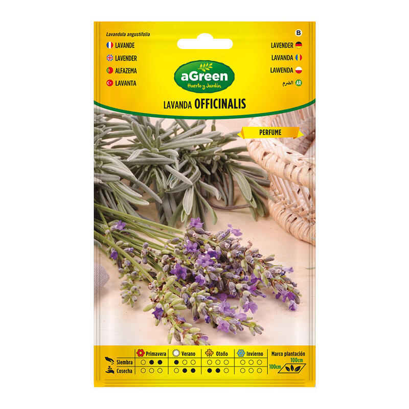 Pack De 5 Unidades - Sobre Con Semillas De Lavanda Officinalis 301031bolsh Agreen