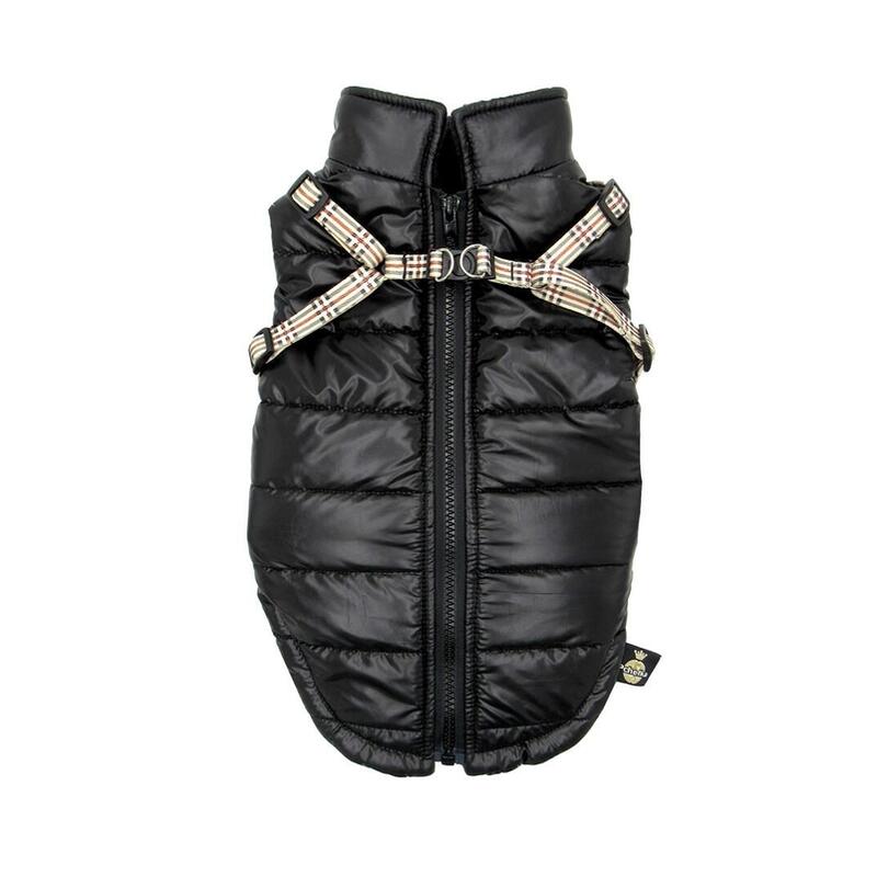Pchelka Tobiasz Black - Ropa Para Perros - Talla S