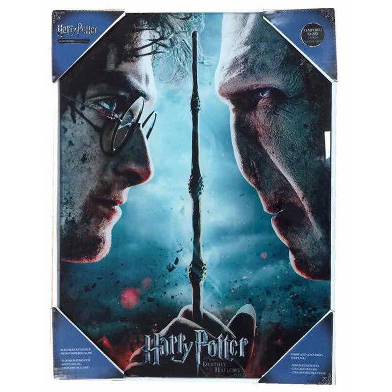 Poster Cristal Voldemort Vs Harry Potter