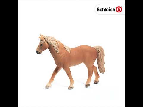 EAN 4055744012549 - schleich FARM WORLD 13833 figura de juguete para niños