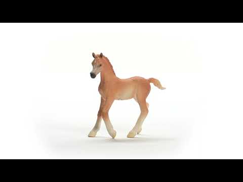 EAN 4059433753690 - schleich HORSE CLUB 13984 figura de juguete para niños