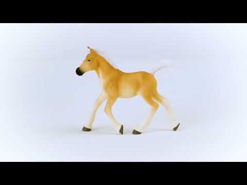 EAN 4059433557519 - schleich HORSE CLUB 13951 figura de juguete para niños