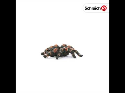 EAN 4055744029707 - schleich Vida Salvaje 14829 figura de juguete para niños