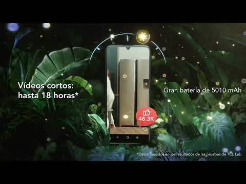 EAN 4894461958880 - TCL 40 SE 17,1 cm (6.75") SIM doble Android 13 4G USB Tipo C 6 GB 256 GB 5010 mAh Gris