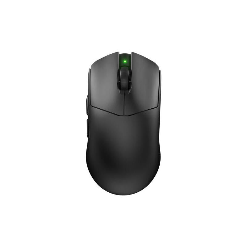Raton Cougar Revenger Pro 4k