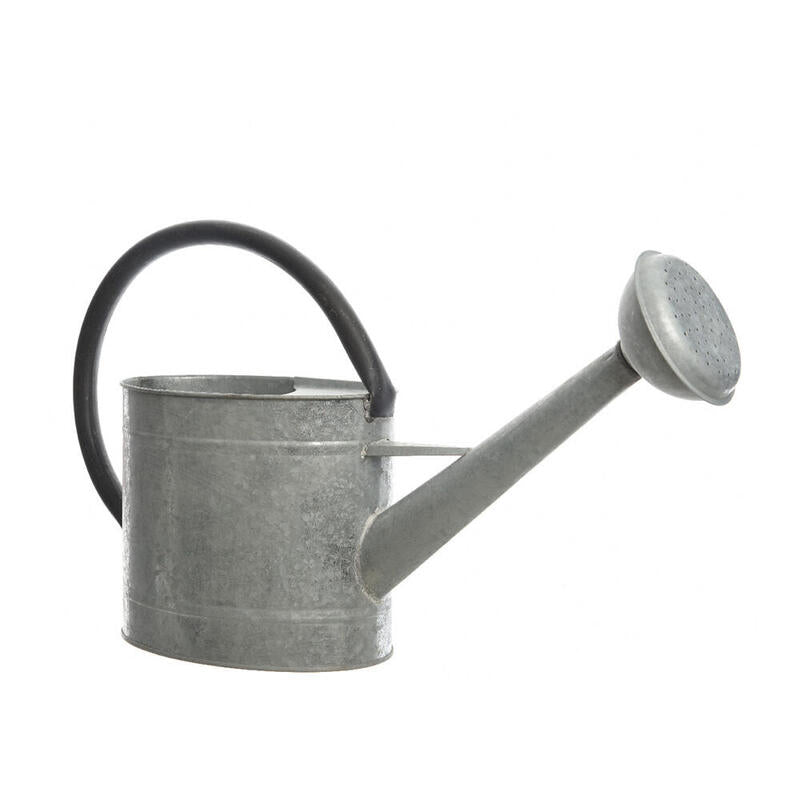 Regadera De Zinc 5 Litros Solo Uso Decorativo