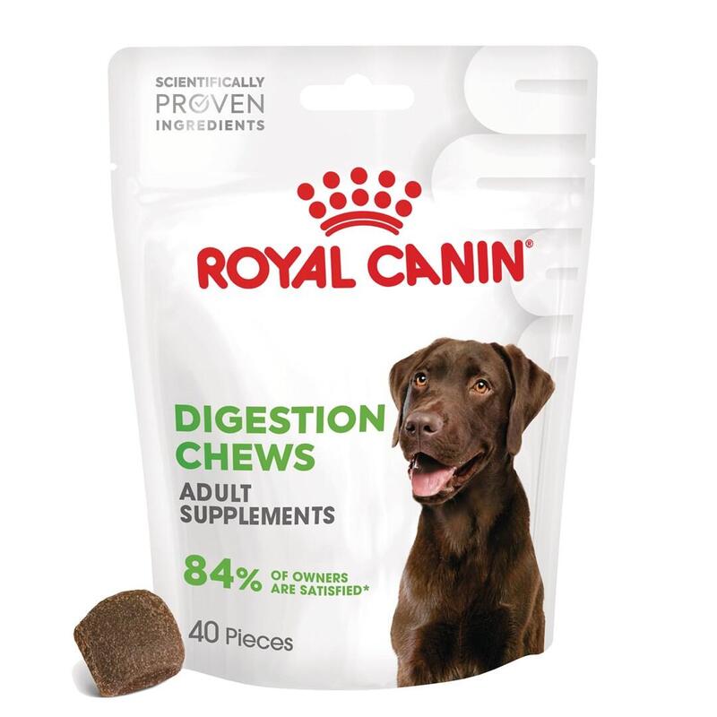 Royal Canin Supplements Dog Digestion Adult - Vitaminas Para Perros - 160g