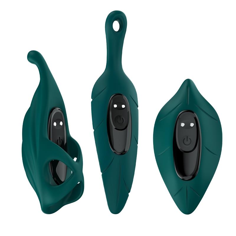 Set De Vibrador Y Fundas