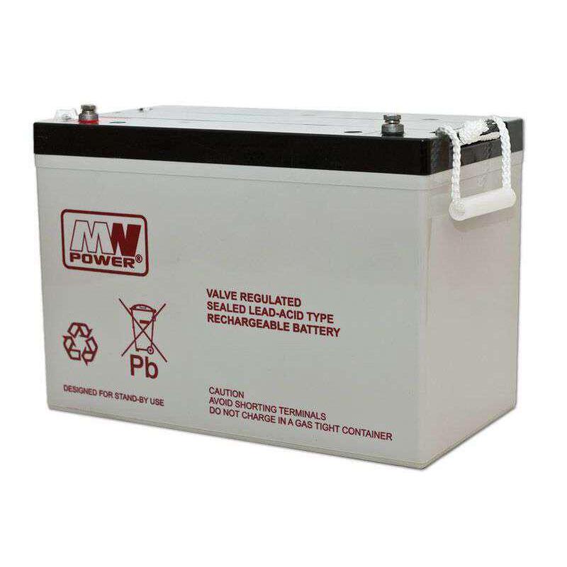 Standard Lead Acid Battery 12v 100ah - 215x173x330mm
