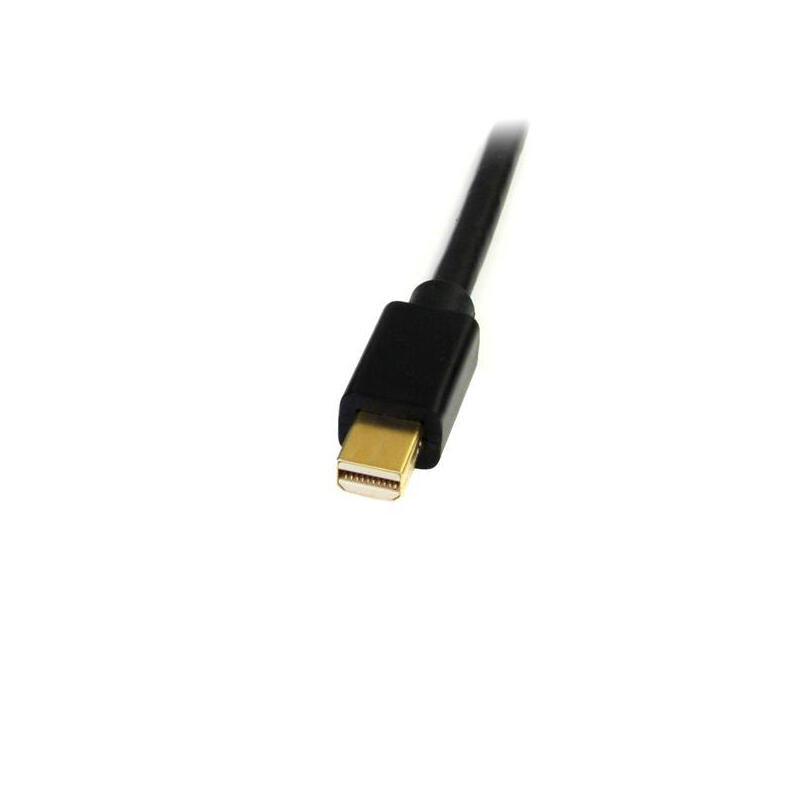 Startech Cable Mini Displayport A Dvi 1,8m