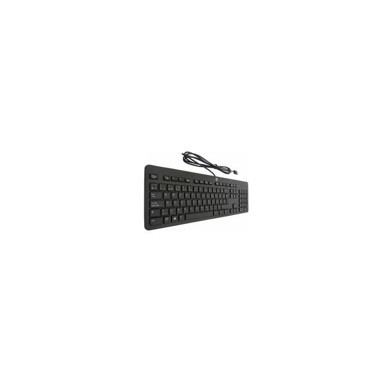Teclado Reacondicionado Hp Usb Slim Kb Ph0u Español (Qwerty) Negro Con Cable Usb 1 Año De Garantia
