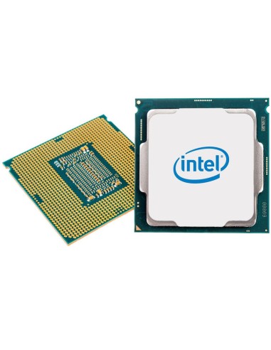 Procesador Intel Xeon E-2236 (3.4g,80w,l3:12m,6c,rev.u0,ht)