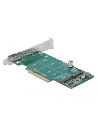 Delock Tarjeta Pci Express - 2x M.2 Key M