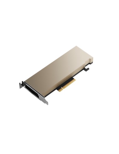 Pny Nvidia A2 16gb 128-bit Gddr6 Low-profile Single Slot Passive
