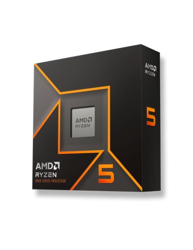 Cpu Amd Ryzen 9 9900x