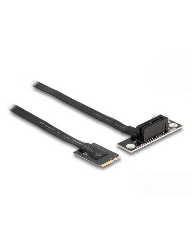 Delock 64217 Adaptador M.2 Clave a+e A Pcie X1 Nvme En ángulo Con Cable De 20 Cm