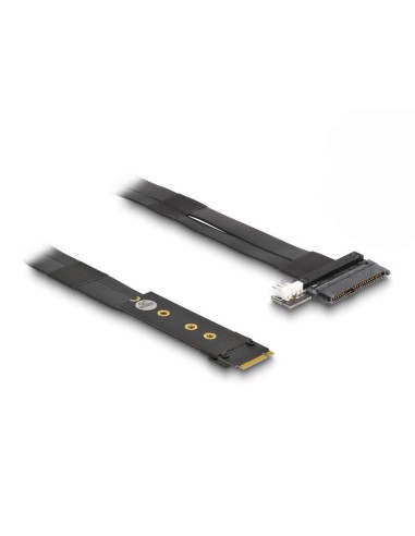 Delock 64216 Adaptador M.2 Clave M A U.2 Sff-8639 Nvme Con Cable De 20 Cm