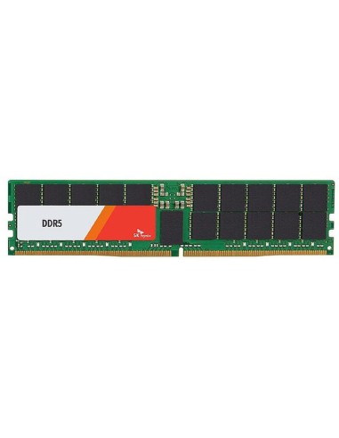 Memoria Hynix 64 Gb Reg. Ecc Ddr5-4800 Hmcg94mebra