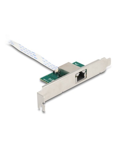 Delock 95274 Convertidor M.2 Clave B+m 1 X Rj45 10 Gigabit Lan